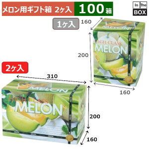 pMtg nCNXL@2 310×160×200(mm) 5ʃTCYA9kgNX2u100v