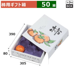 `pMtg  ` 390×305×80(mm) u50v