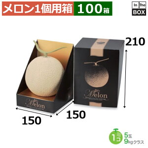 pMtg  1ubNL 150×150×210(mm) 5ʃTCYA9kgNX1u100v