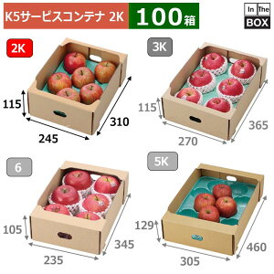 �t���[�c�p�T�[�r�X�� K5�T�[�r�X�R���e�i 2K 245×310×115(mm) PSP�g���[2kg�u100���v