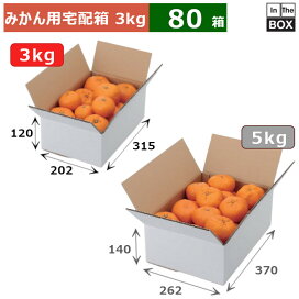 楽天市場】 フルーツ・果物用資材 > みかん用 : 段ボール・梱包資材店 