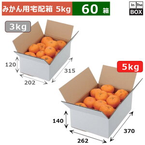 ݂pz A݂񔒖n 5kg 370×262×140(mm) ݂5kgu60v