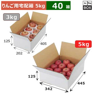 񂲗pz A񂲔n 5kg 445×342×125(mm) 5kgu40v