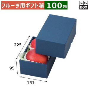 t[cpMtg }S[2lCr[ 151×225×95(mm) }S[2L2A2A嗱Ԃǂ1[1kgu100v