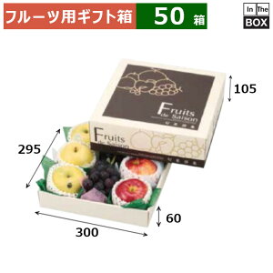 t[cpMtg {ʐW 295p 300×295×105ig[60j(mm) 289u50v