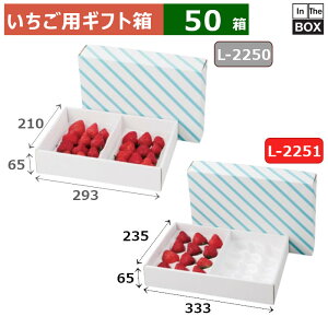 pMtg C`SNbV2Pp JuZ 333×235×65(mm) u50v