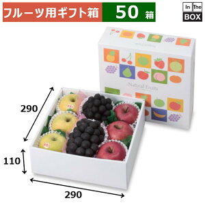 t[cpMtg i`t[c290p 290×290×110(mm) 289u50v