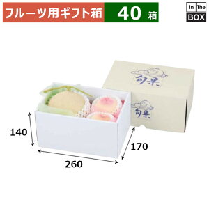 t[cpMtg C{ʃ~jAJg 260×170×140(mm) ʃE}S[E嗱ԂǂA}S[3LTCY2ʁA2L2u40v