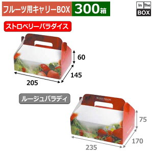 t[cpL[BOX Xgx[p_CX 1P 205×145×60(mm) ܂1pbNu300v