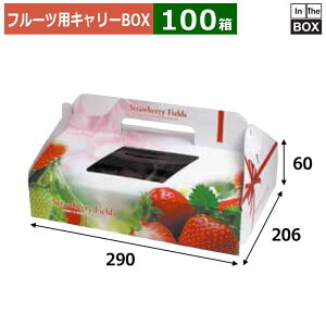 t[cpL[BOX Xgx[tB[Y 2P 290×206×60(mm) ܂2pbNu100v