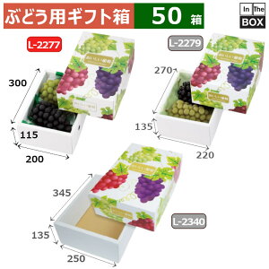 ԂǂpMtg fVX 2K 300×200×115(mm) 嗱Ԃǂ3u50v