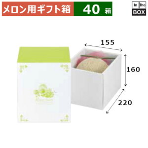 pMtg Vg[Y 1160 220×155×160(mm) 51u40v