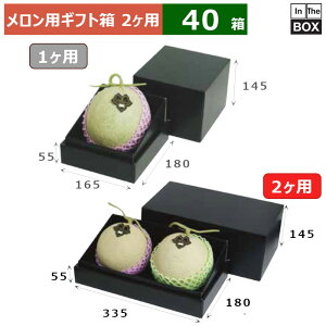 pMtg 2pC[ 335×180×200(mm) 5ʃTCYA9kgNX2u40v