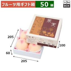 t[cpMtg ʎlG{ ~j205p 205×205×100ig[60j(mm) 2LTCY4u50v