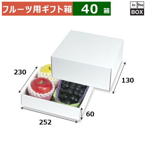 t[cpMtg zCgg[3L 2 252×230×130ig[60j(mm) g[3L2u40v