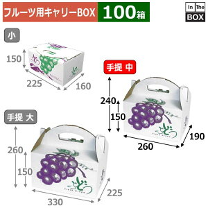 �t���[�c�p�L�����[BOX �Ԃǂ��̗���� �� 260×190×150�i240�j(mm) �Ԃǂ�2kg�u100���v
