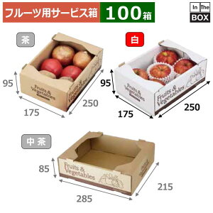 t[cpT[rX t[cxW^uT[rX  175×250×95(mm) 405u100v