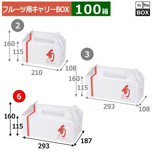 t[cpL[BOX { 6 293×187×115(mm) 366,156u100v