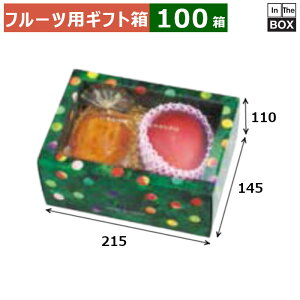 t[cpMtg ݂ǂ̂߂ 2PiO[j 215×145×110(mm) u100v