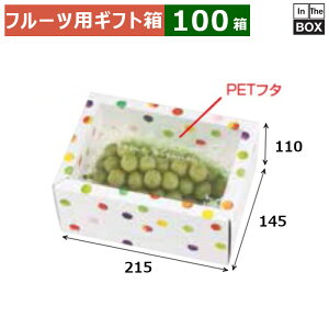 t[cpMtg ݂ǂ̂߂ 2PizCgj 215×145×110(mm) u100v