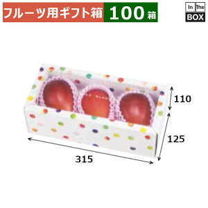 t[cpMtg ݂ǂ̂߂ 3PizCgj 315×125×110(mm) u100v