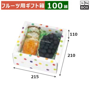 t[cpMtg ݂ǂ̂߂ 210pizCgj 215×210×110(mm) u100v