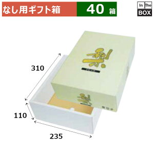 ȂpMtg @2kg 310×235×110(mm) u40v
