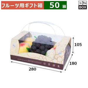 t[cpMtgP[X {ʐWRrl[V 280×180×105(mm) LTCY5`6u50v