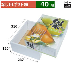 ȂpMtg E̎@2kg 310×237×120(mm) u40v