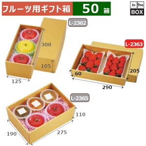 t[cpMtg S[h 28 290×205×60(mm) u50v