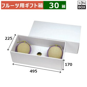 t[cpMtg zCg C 3p 170 495×225×170(mm) 59kgNX3AʃXCJu30v