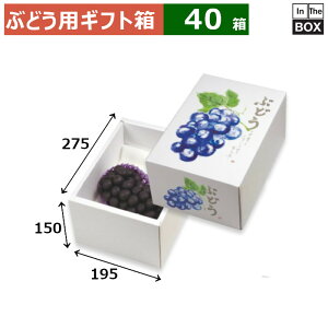 ԂǂpMtg Ă̂Ԃǂ 150H 275×195×150(mm) 嗱Ԃǂ2[u40v