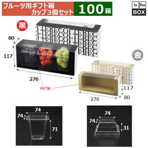 t[cpMtg Rg  JbvZbg 276×80×117(mm) u100Zbgv