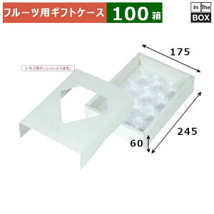 t[cpMtgP[X _C^JPP\ 245×175×H60(mm) u100v