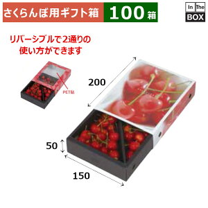ڗpMtg ڃXChBOX 200×150×H50(mm) u100v