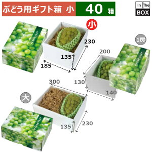 ԂǂpMtg VC}XJbg@ 230×185×H135(mm) u50v