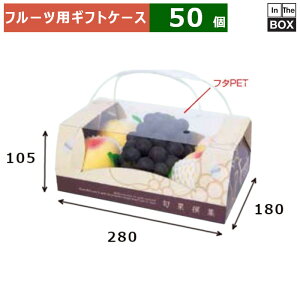 t[cpMtgP[X {ʐW Rrl[V 310×300×H130(mm) u50v