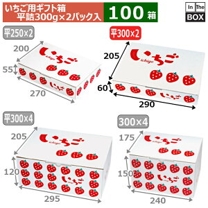 pMtg CXg2P 290×205×H50(mm) u100v