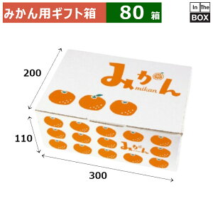 ݂pMtg CXg݂ 3kg 300×200×H110(mm) 3kgu80v