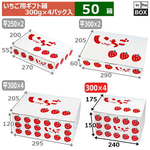 pMtg CXg 300g4P 2iBOX 240×175×150(mm) u50v