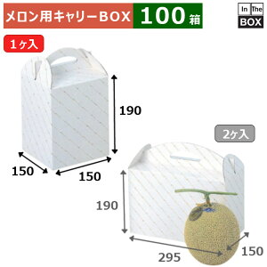 pL[BOX  1 150×150×190(mm) 68kgNX1u100v