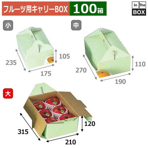 t[cpL[BOX O[  315×210×120(mm) ,2L6u100v