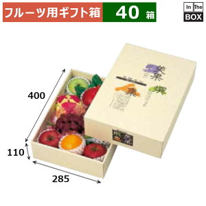 フルーツ用ギフト箱 AF美果撰集 特大 285×400×110(mm) りんご28玉11個、32玉12個「40箱」