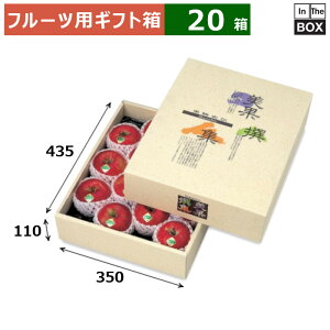 t[cpMtg AFʐW DX 350×435×110(mm) 񂲃g[u20v