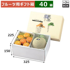 t[cpMtg AFʐW C[A 225×325×150(mm) 68kgNX2u40v