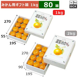 ݂pMtg ݂ 1kg 270×195×55(mm) ݂LTCY12u80v