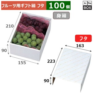 t[cpMtg Cn[t t^ 163×223×90(mm) u100v