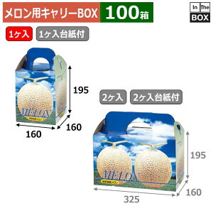 メロン用キャリーBOX ピュアメロン 1ヶ入 160×160×195(mm) 5玉9kgクラス1個「100箱」