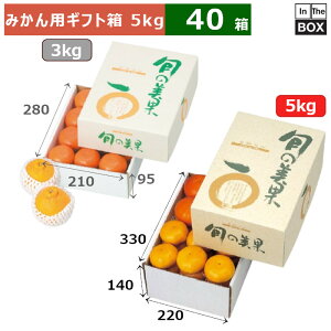 みかん用ギフト箱 旬の美果 5kg 330×220×140(mm) みかん約5kg「40箱」