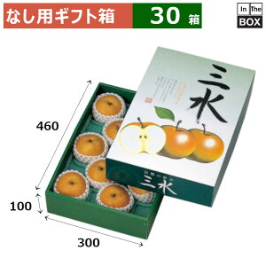 ȂpMtg O 460×300×100(mm) u30v